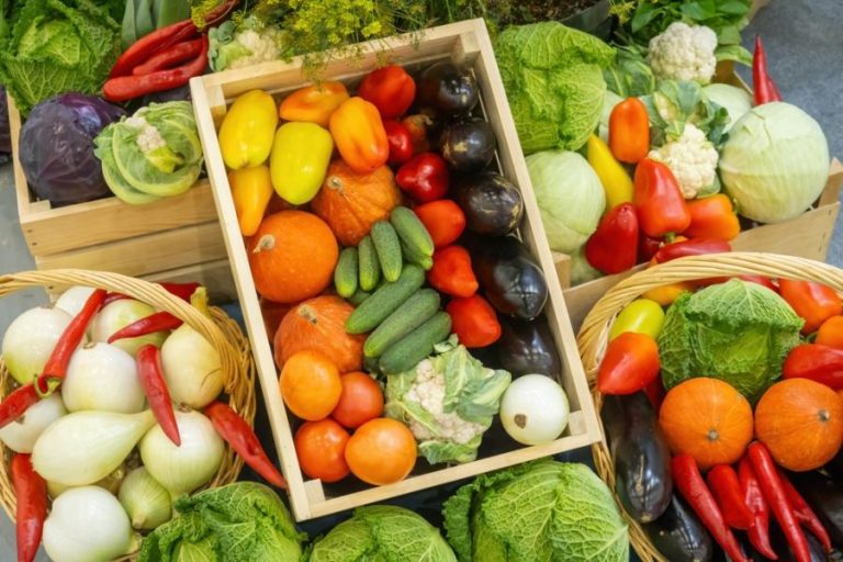 alimentos